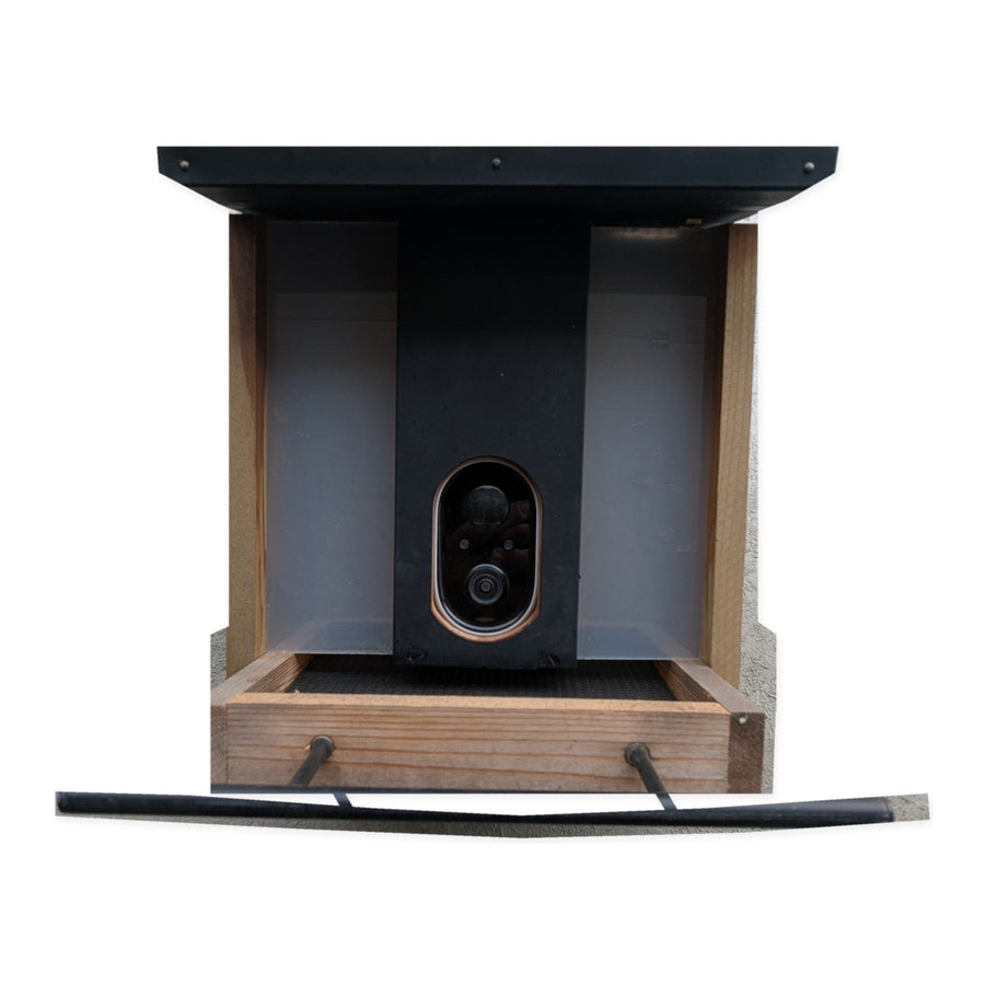 Evergreen Solar Smart Bird Feeder with 1080p Wi-Fi Camera